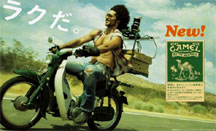 Camel Menthol Box ���N���B